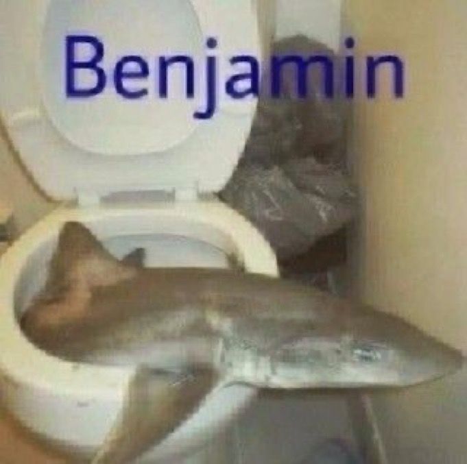 hourly_shitpost's tweet photo. https://t.co/XfcMNtHkRX
