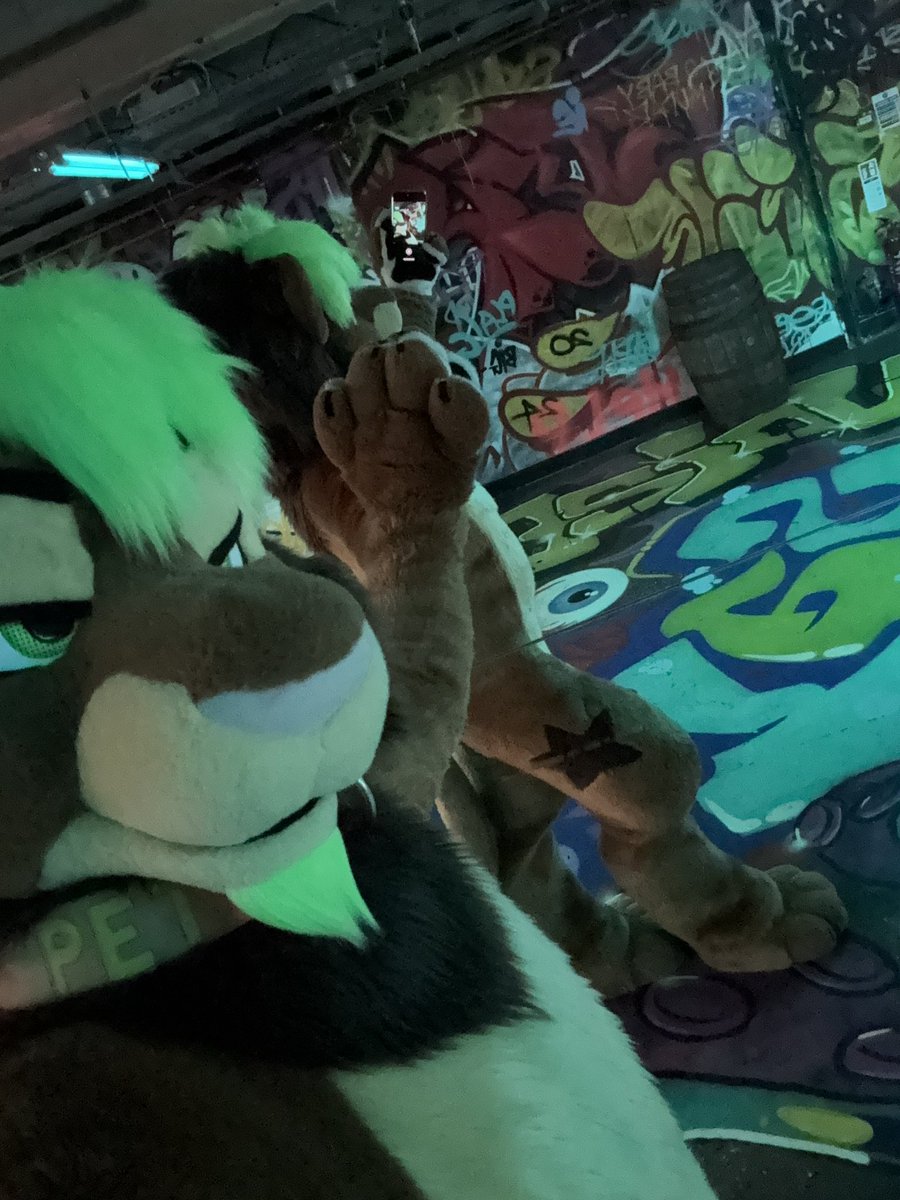 Skunkpaw 🦨 🖤🩶🤍💜 🦨 tweet media