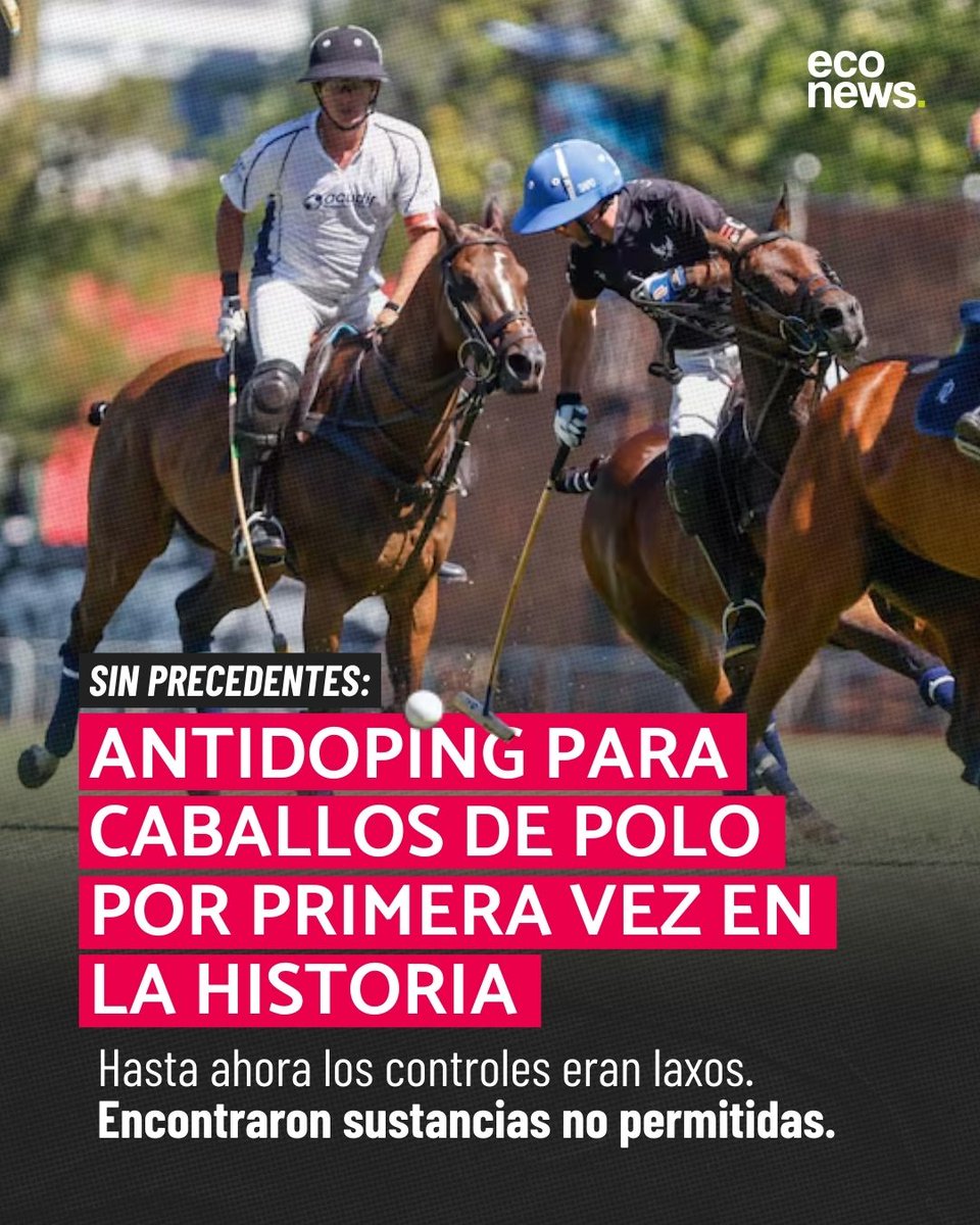 🔍 Antidoping para caballos en el polo argentino 

🐴 Por primera vez, la Triple Corona incorporó controles antidoping para los caballos. Hasta ahora, el polo era la única disciplina ecuestre sin este tipo de controles, a pesar de ser líder mundial. La nueva gestión de la