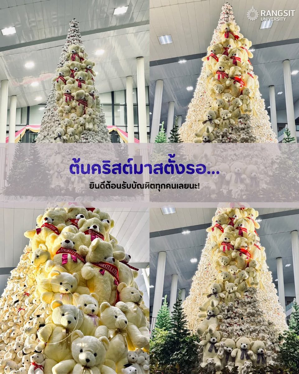 🎄 ต้นคริสต์มาสตั้งรอ…
พร้อมต้อนรับบัณฑิตทุกคนด้วยบรรยากาศอบอุ่น 
ใกล้เทศกาลคริสต์มาส แล้วด้วย 
พี่หมี น้องหมีใจฟูกว่าหลายร้อยตัว
วันนี้และพรุ่งนี้คือโมเมนต์พิเศษจริง ๆ 🎓
#รับปริญญา2568 #มอรังสิต