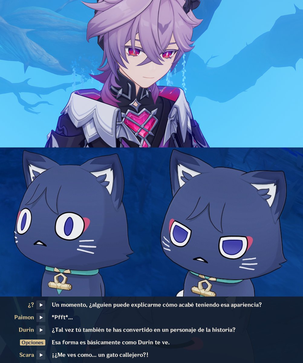 CANONIZARON A SCARAGATO
Scara toma la forma de gato en el cuento de Durin porque él lo ve de esa manera jaskjasjs
