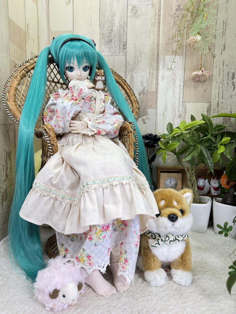 くまきち (@bearbeartyan) / Posts / X