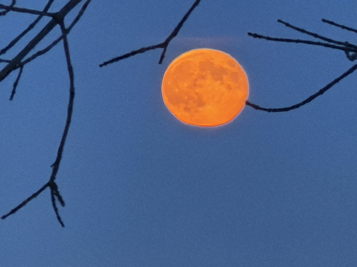 Byron Johnson tweet media