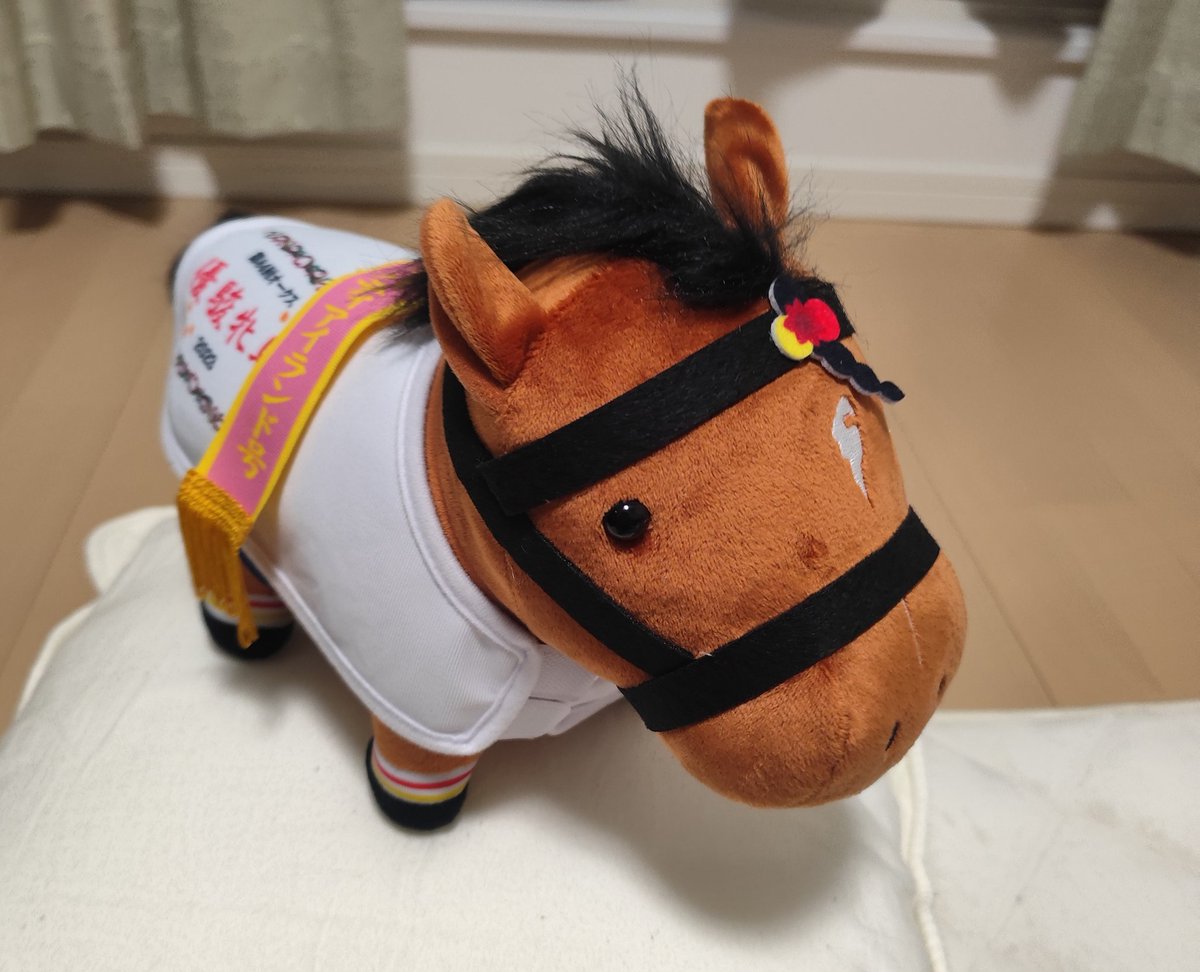 ちょっとみて!可愛くない?!… 800円で馬主になっちゃった!!爆笑 ちょっとみて!可愛くない?!… 800円で馬主になっちゃった!!爆笑