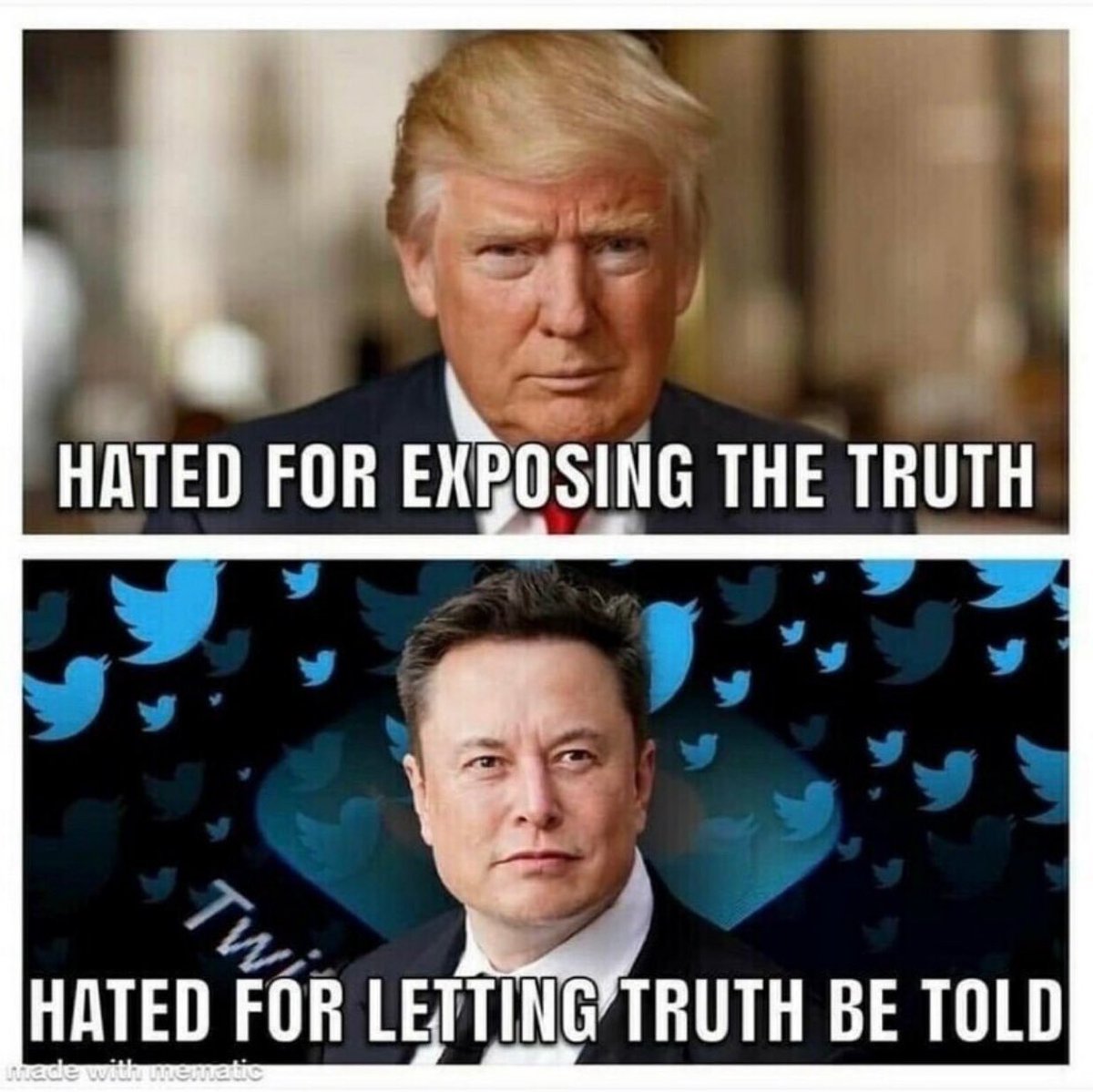 Natalie F Danelishen tweet media