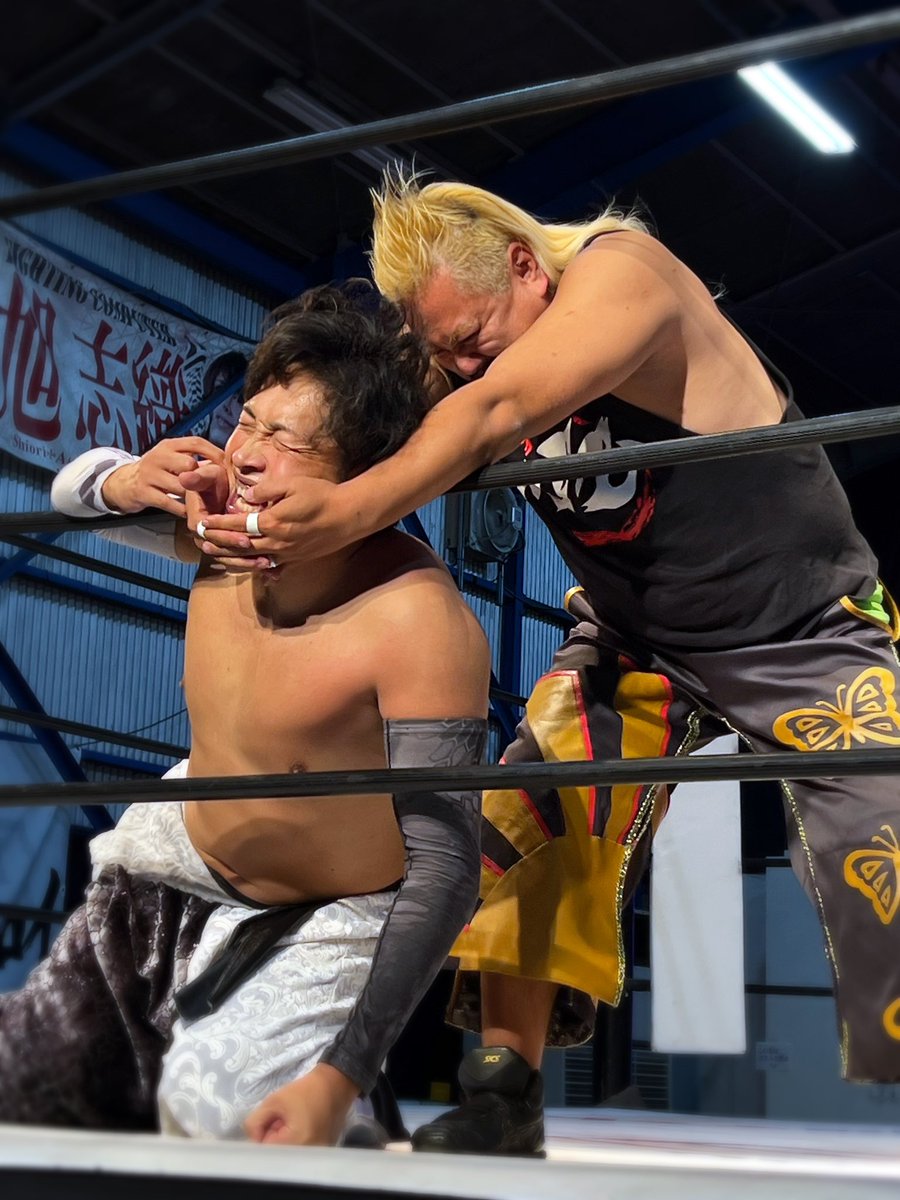 かめ (@kamesanyama) / Posts / X