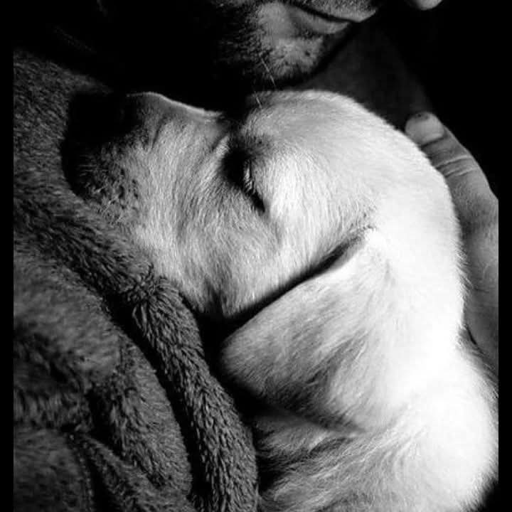 Sevebildiğin kadar sev, hayat kısa...🐾❤🐾