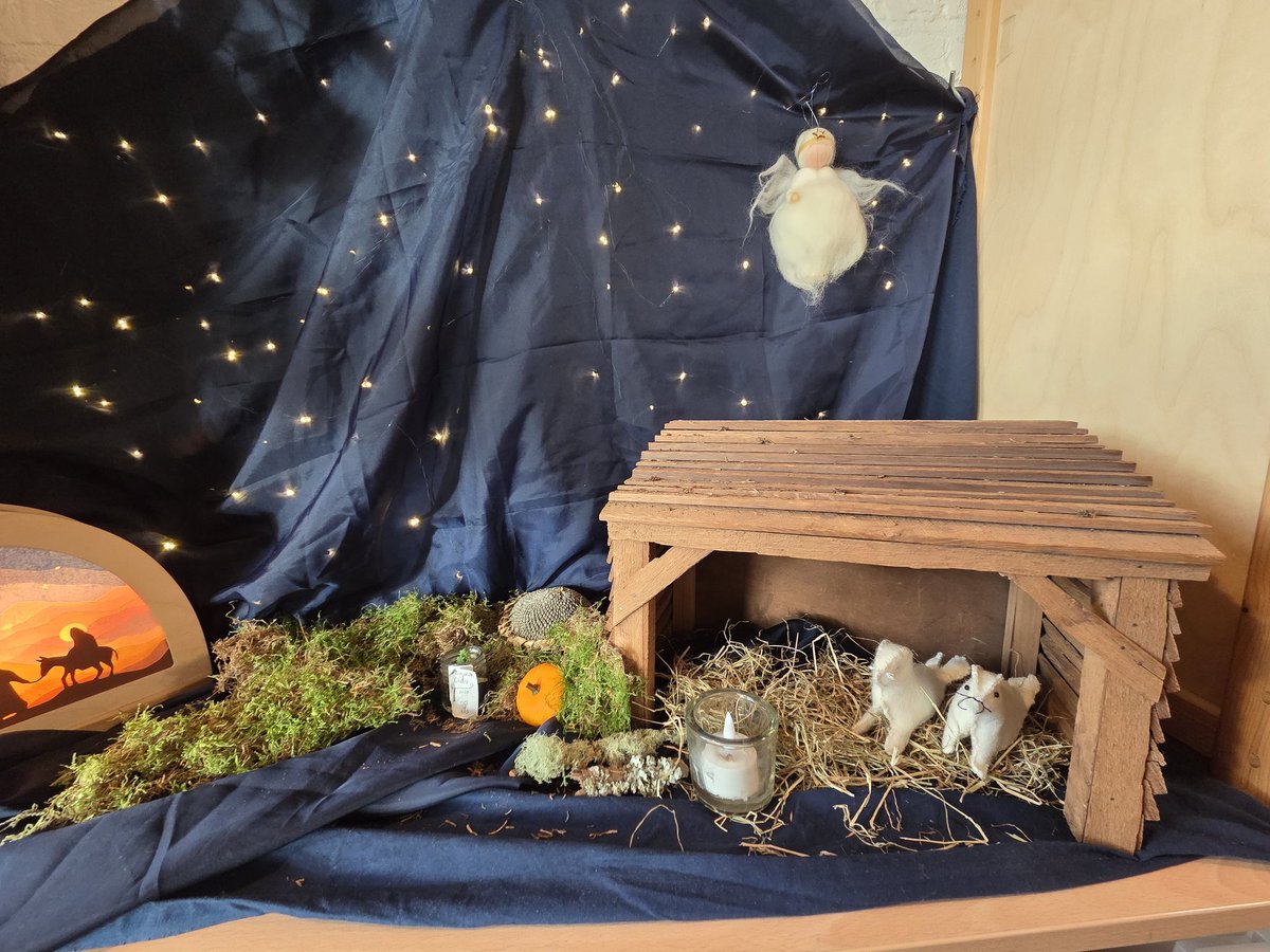 #Foto_Adventskalender van <a href="/josephiensierag/">J🍋sephien Sierag 🕊📚🌸🍣📷</a>

#Dag6 #KlaasEruitClausErin 🎅🎄

Plezier in de klas.  De zeehonden die afgelopen week afkwamen in klas 5 (groep 7) mochten poseren in de kerststal ✨️

#handwerkjuf