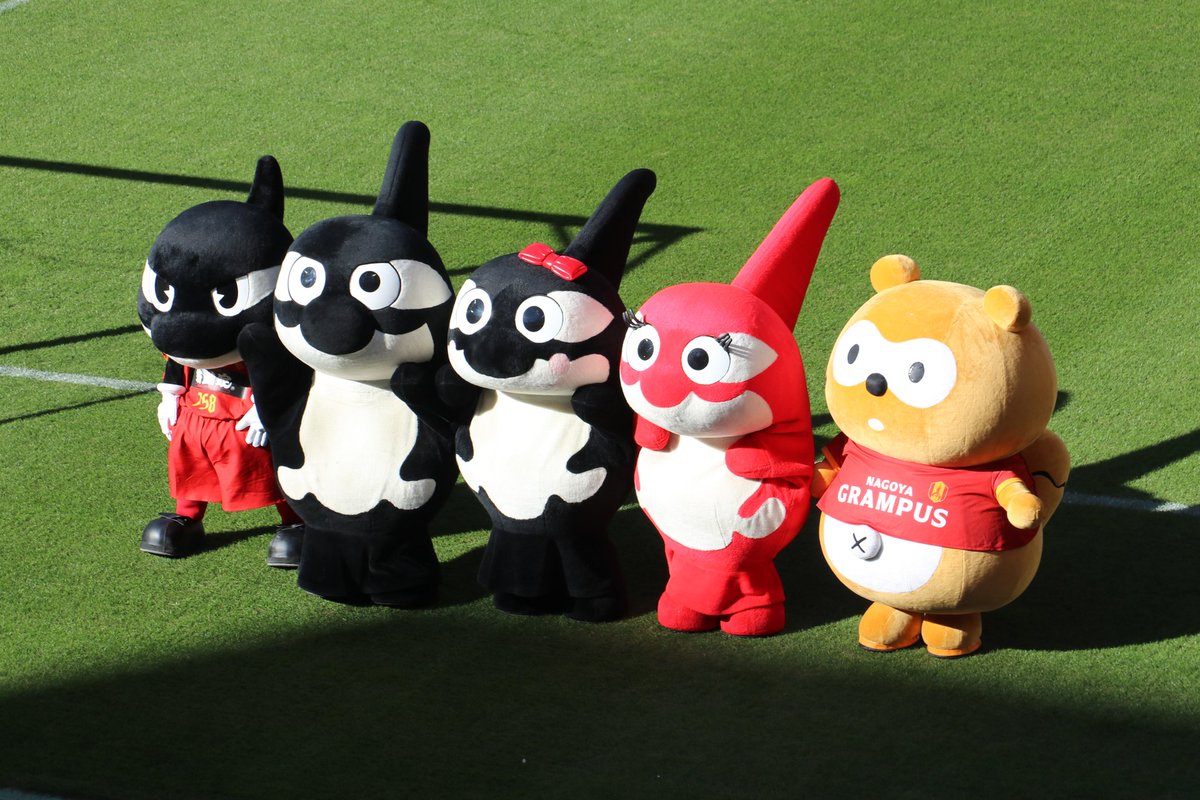 グランパスくんファミリーとグランパスポンタ📸✨ みんなかわいい