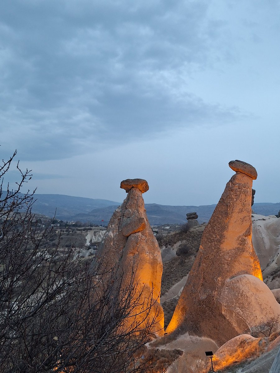 bunlardan kac tane varki🤔