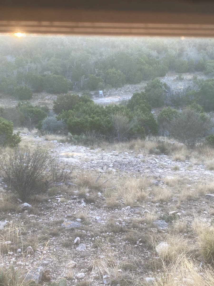 MichaelWaldie1's tweet image. First sit of the year at the J&amp;amp;O, let’s go!!! #GodWins