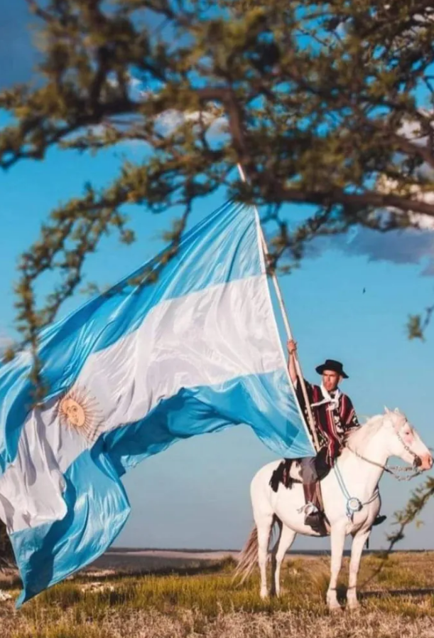 Imagen_Arg's tweet photo. Día Nacional del Gaucho 💙 - Yo he conocido esta tierra en que el paisano vivía y su ranchito tenía y sus hijos y mujer... Martín Fierro https://t.co/lK64LU58mf