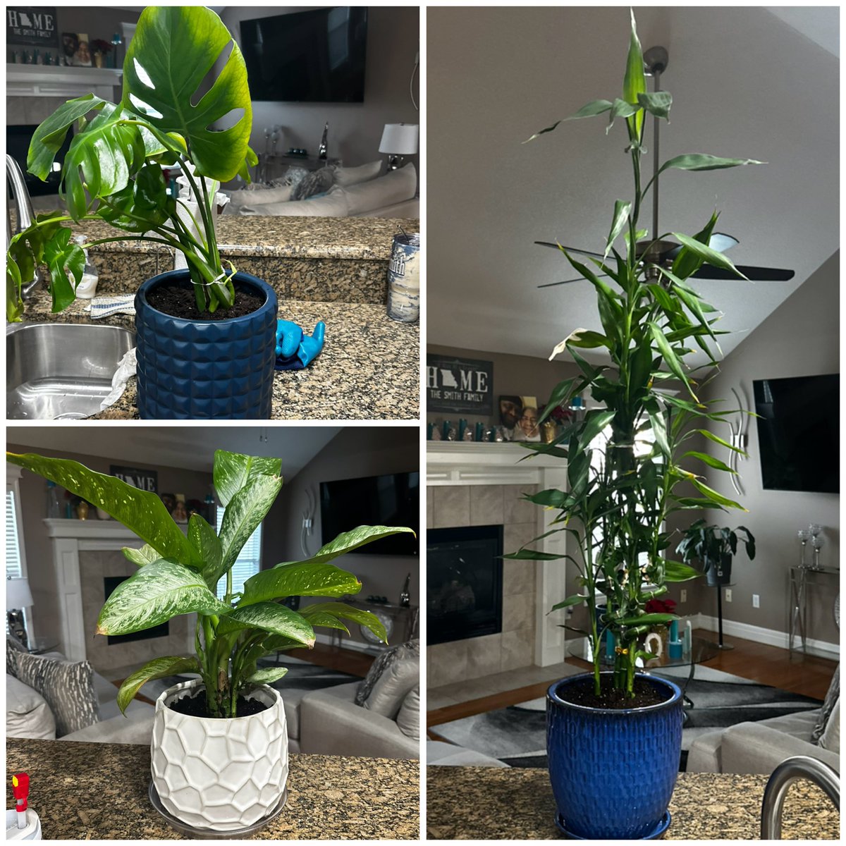 Dr. VaShawn Smith ΦΒΣ tweet media