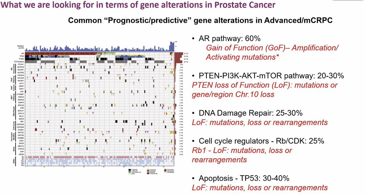 Dr Rishabh Jain tweet media