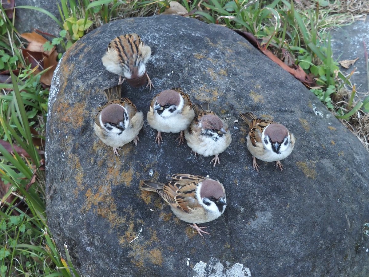 ちゅんちゅん (@chunchu0803) / Posts / X