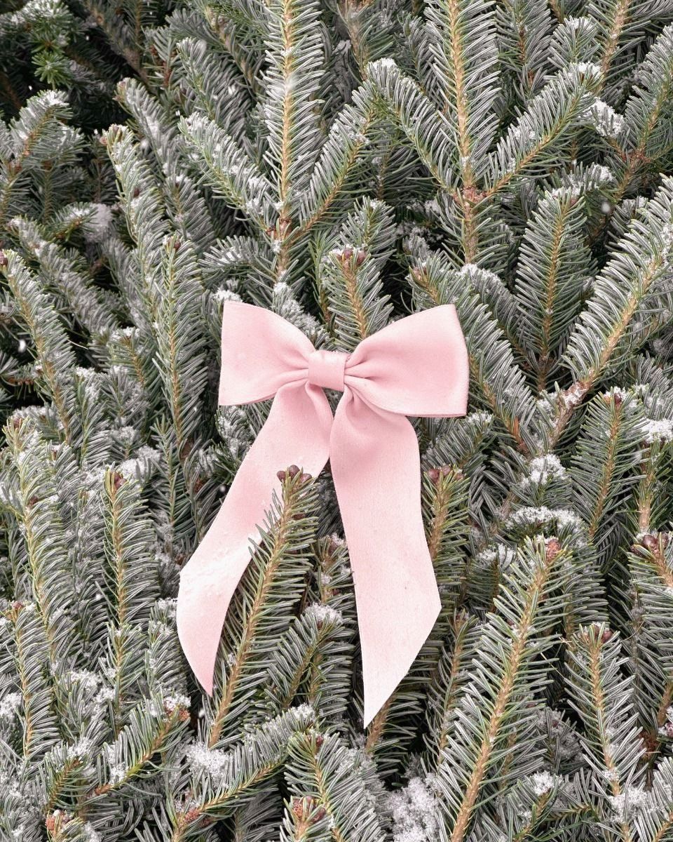 𝙈𝙖𝙧𝙮 tweet media