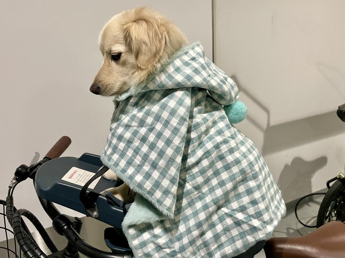 ポメックスのとろろくん (@monaka_0507) / Posts / X