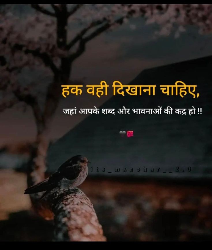 gulzar_ki_kitab's tweet photo. हक़ वही दिखाना चाहिए,
जहां आपके शब्द और भावनाओं की कद्र हो... https://t.co/ZbsAJ9HO31