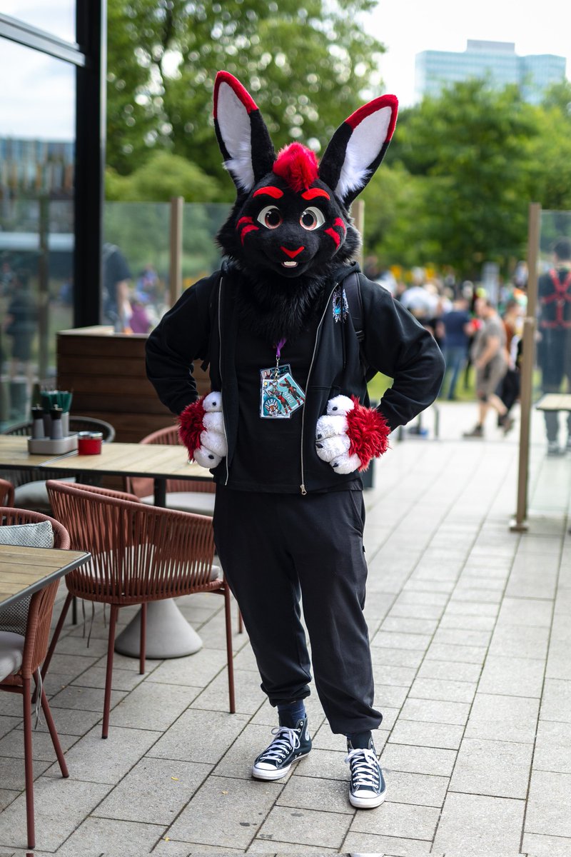 I'm Niku! 🦊 tweet media