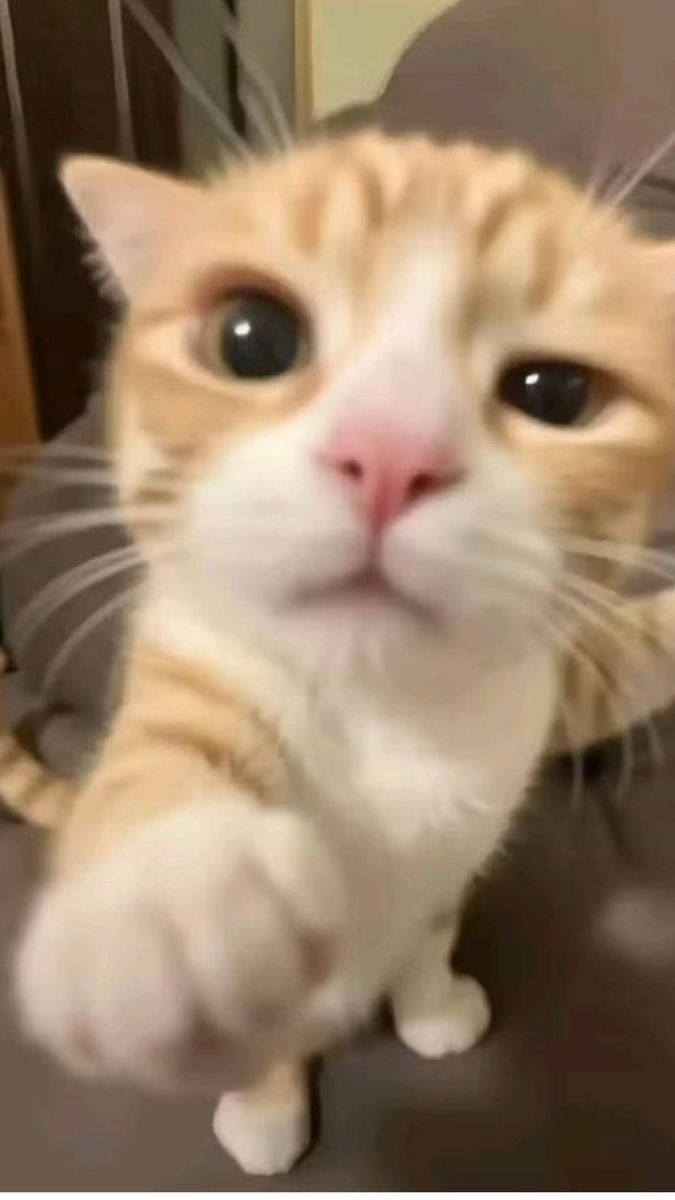 SakajaShoePlug's tweet image. Good people's of Embu. Tutakuwa tunachromoka na DJ Kalonje tukiwin ma prizes. All you have to do is buy Chrome Gin/ Vodka,  scratch label → tuma code to 22110
Masaa ni ya kuchromoka nunua Chrome Gin ama Vodka,  scratch label → tuma code to 22110 
#chromoka