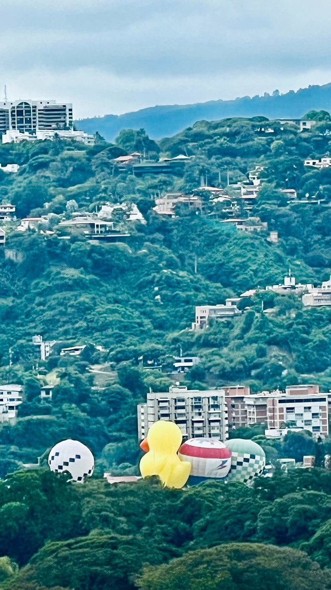 Según los Escuálidos, Maduro, Cilia Diosdado y Padrino están "huyendo" en estos globos aerostáticos...Peron son los globos que adornan la "ExpoTransporte 2025" en La Carlota 😂😂