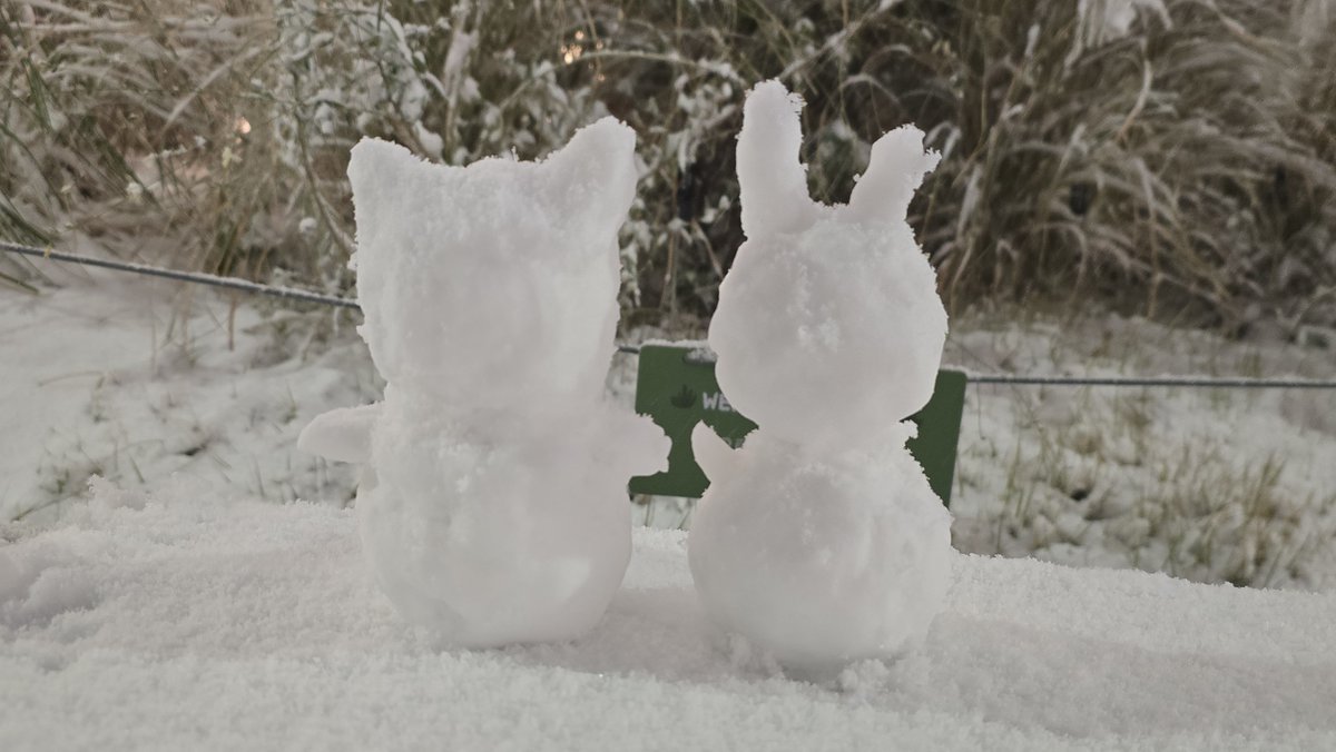 ☃️❄️☃️❄️☃️❄️☃️❄️☃️❄️☃️❄️☃️