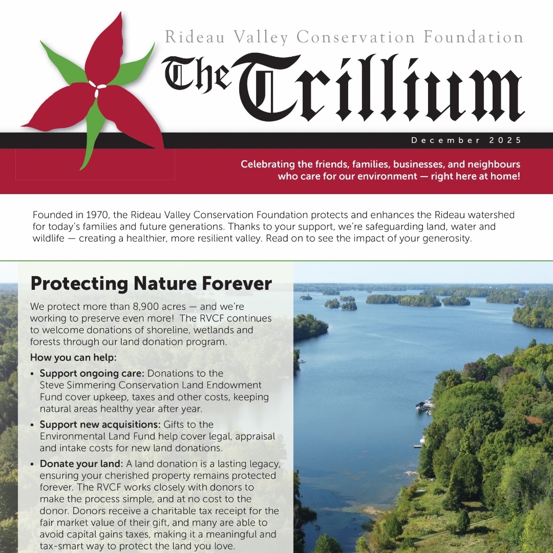 RVCFoundation's tweet image. Explore the many impacts of your support in our year-end newsletter, the Trillium! From exciting land donations to major accessibility upgrades, the Foundation has been working tirelessly in support of a thriving watershed for all who call it home: rvcf.ca/component/edoc…
