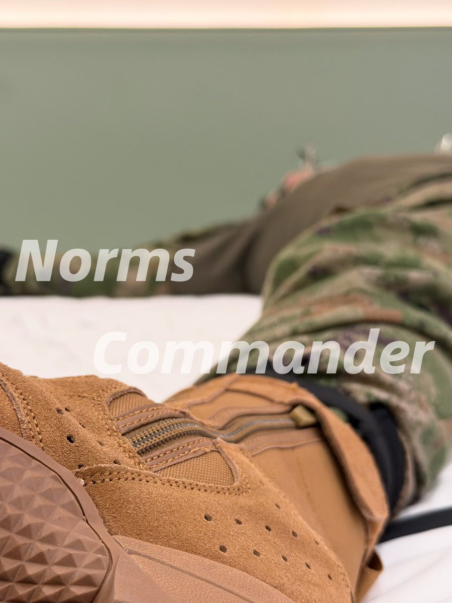 Norms Commander tweet media