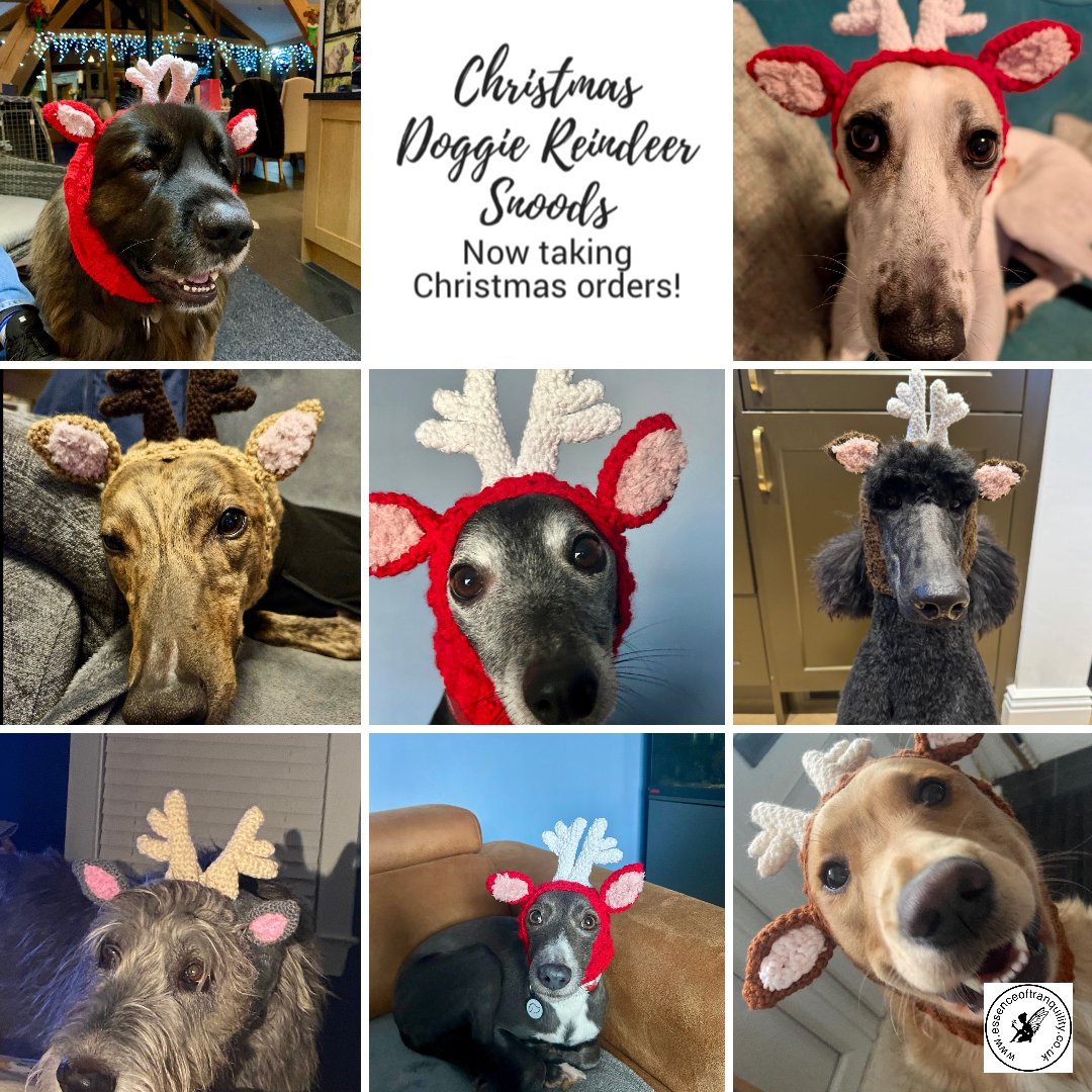 Get your fur baby ready for Christmas with our adorable Doggie Reindeer Snood! 🦌🐶🎄 Now taking Christmas orders on Etsy UK for personalised hats! 🎅🏼🐾 Order now at [Etsy link] #ChristmasPets #PetCostumes #DogClothes #ChristmasReady 🐾🎁