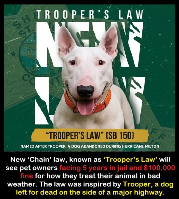 TROOPERS LAW   

New ‘chain’ law, known as ‘Trooper’s Law,’ will see pet owners facing 5 years in jail and $100,000 fine for how they treat their animal in bad weather. The law was inspired by an animal left for dead on the side of a major highway.  

Pet owners who don’t take