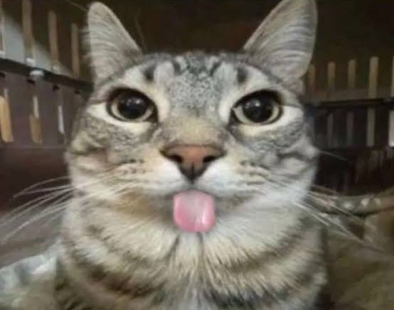 surr__a's tweet photo. скотт и кип, переспавшие на 19 минуте серии, после чего скотт предложил кипу съехаться (они знакомы типа неделю)

илья и шейн, которые тоже переспали на 19 минуте, но после этого у них было 7 лет ситуэйшеншипа и четыре года тайных отношений https://t.co/r1YYbb0ZgG