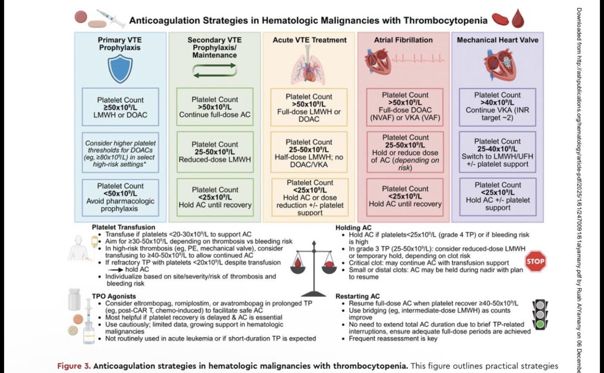 Dr. Chokri Ben Lamine tweet media