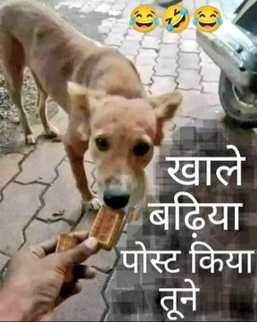 <a href="/Aryan42832Goel/">Aryan Goel</a> Porki kam se kam premium kharid le monetization on kar le..
Kam se kam gali khane ke paise to kama le..
Le ab biscuit kha