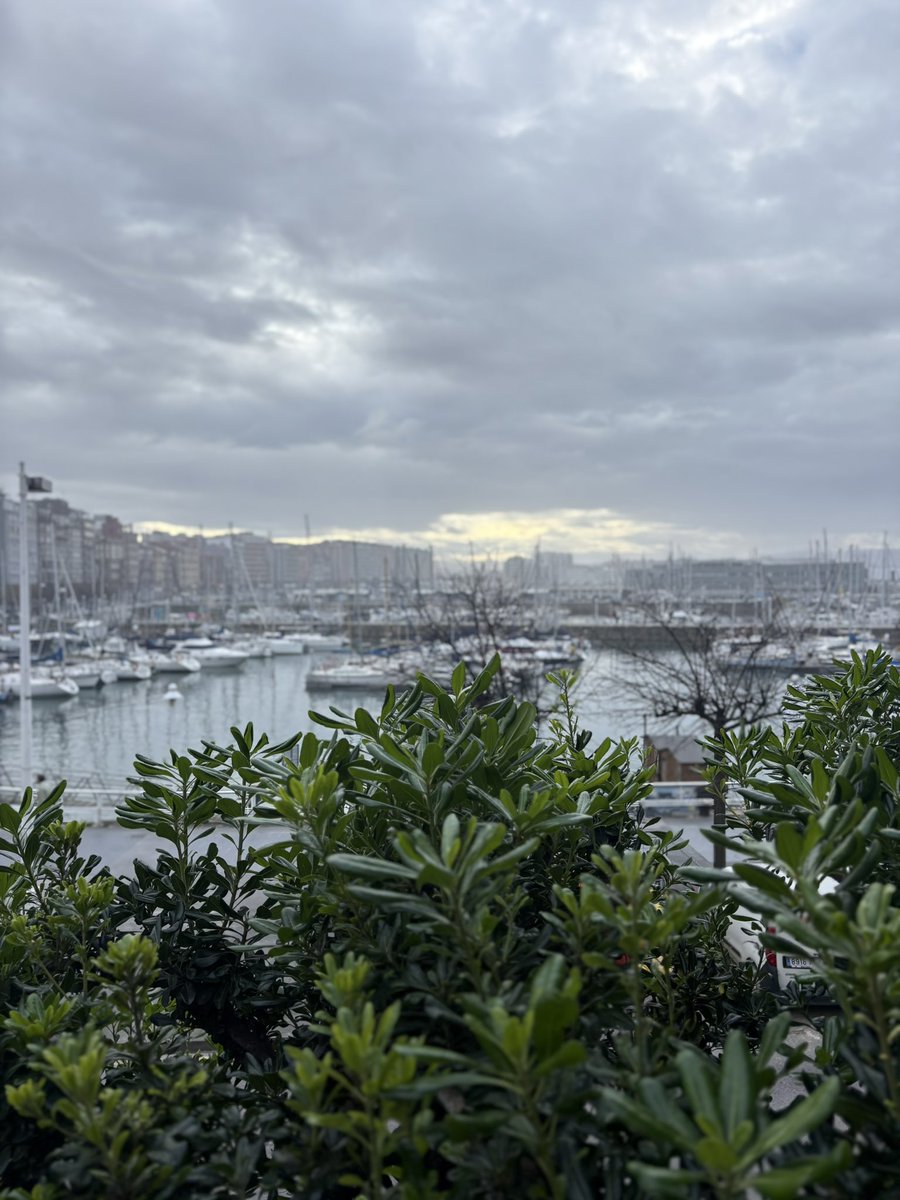 Elena Iriondo tweet media