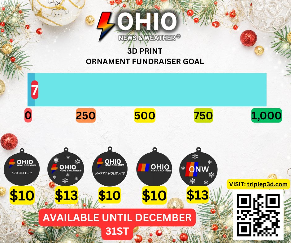 NEW: We are doing a fundraiser! Our team is printing 3D ornaments just for you! Our goal is 1,000 and currently we are at 7. We have a variety of options including the "Do Better" quote, a retro logo, and a simple look! 

For more, visit triplep3d.com today!