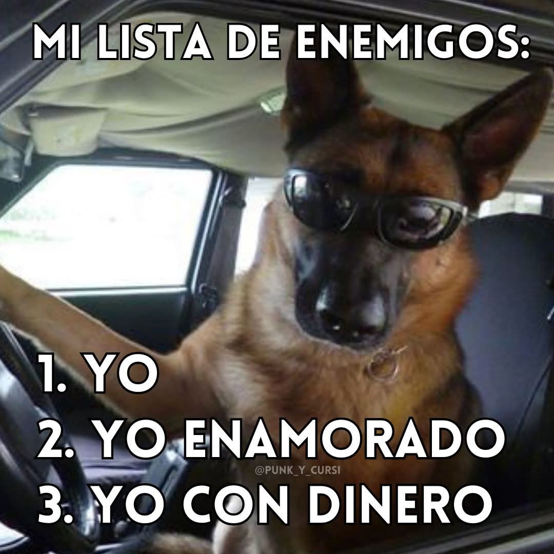 Animalitos en aprietos. tweet media