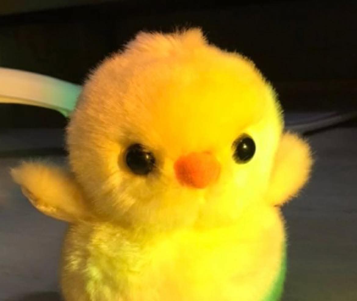 Yo si fuera un peluche