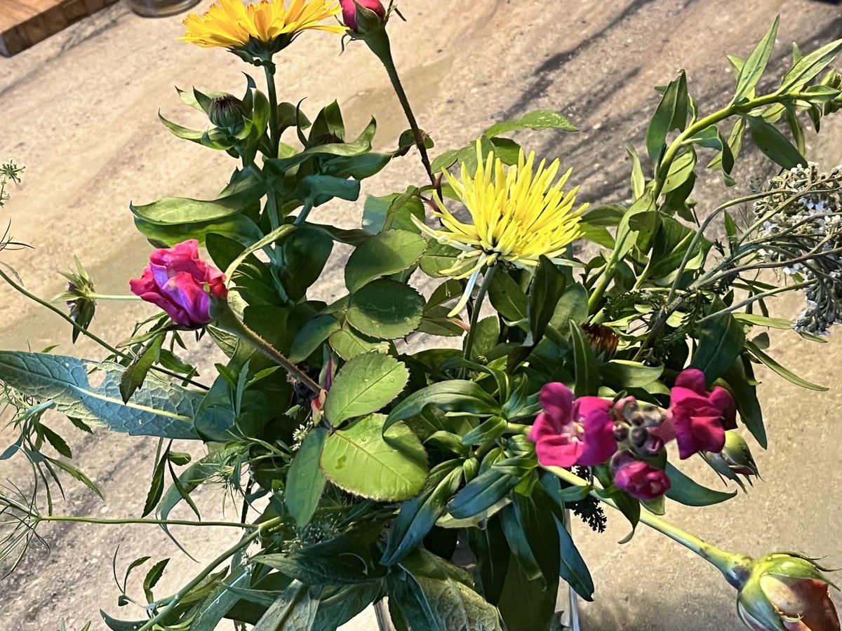 Franny Moyle tweet media