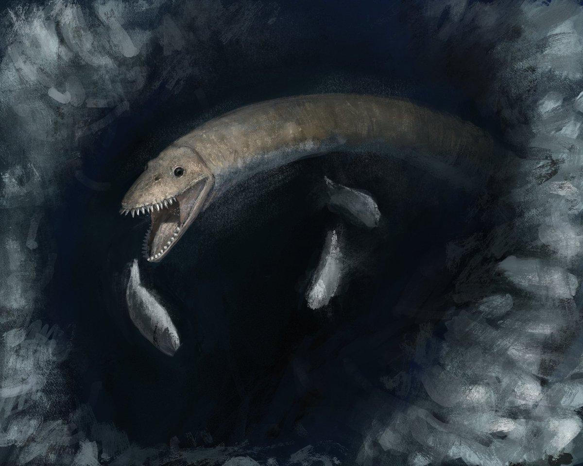 Hunting of Elasmosaurus