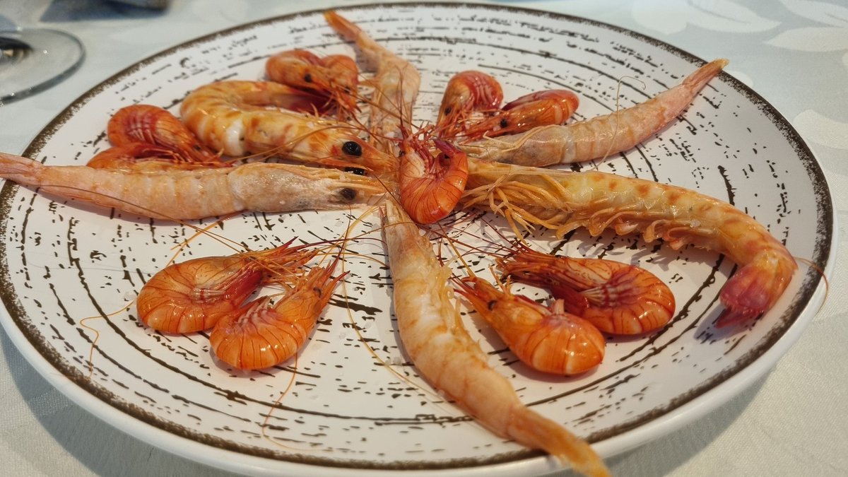 Estoy en un rollo festival ...#tabernadelfin...ahora# Ivanelbandido...😍