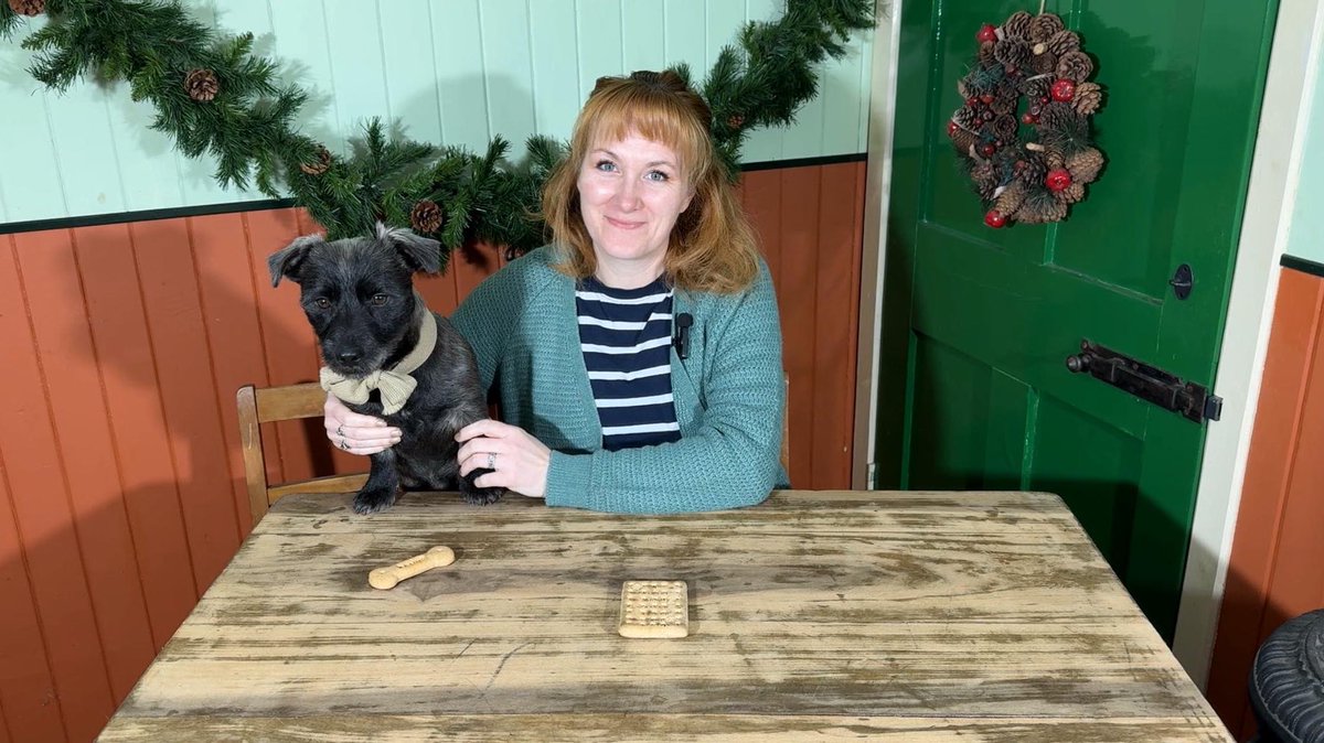 We have a special guest for Day 6 of #HutVent2025 to help Lyndsay tell the story of a 1915 biscuity present (there were always going to be biscuits!)...
shorturl.at/VwzJ4

#HutVent