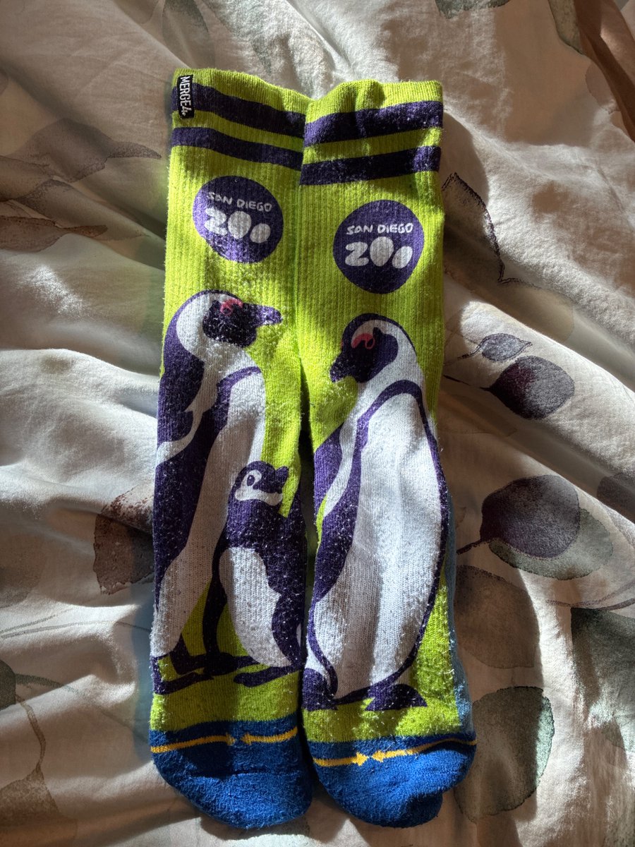 BandCgames's tweet photo. #sockpost https://t.co/zH1lko56cA