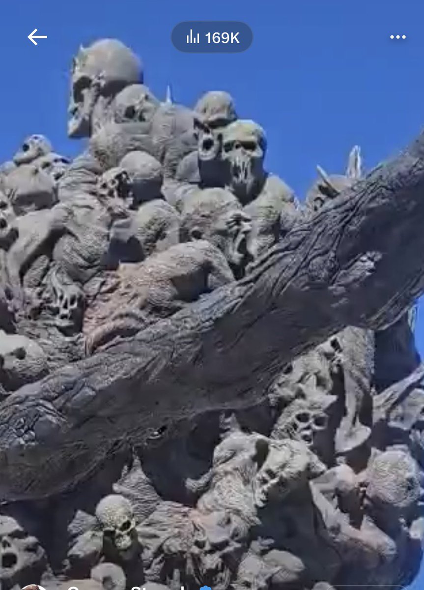 Nikita Kaun tweet media