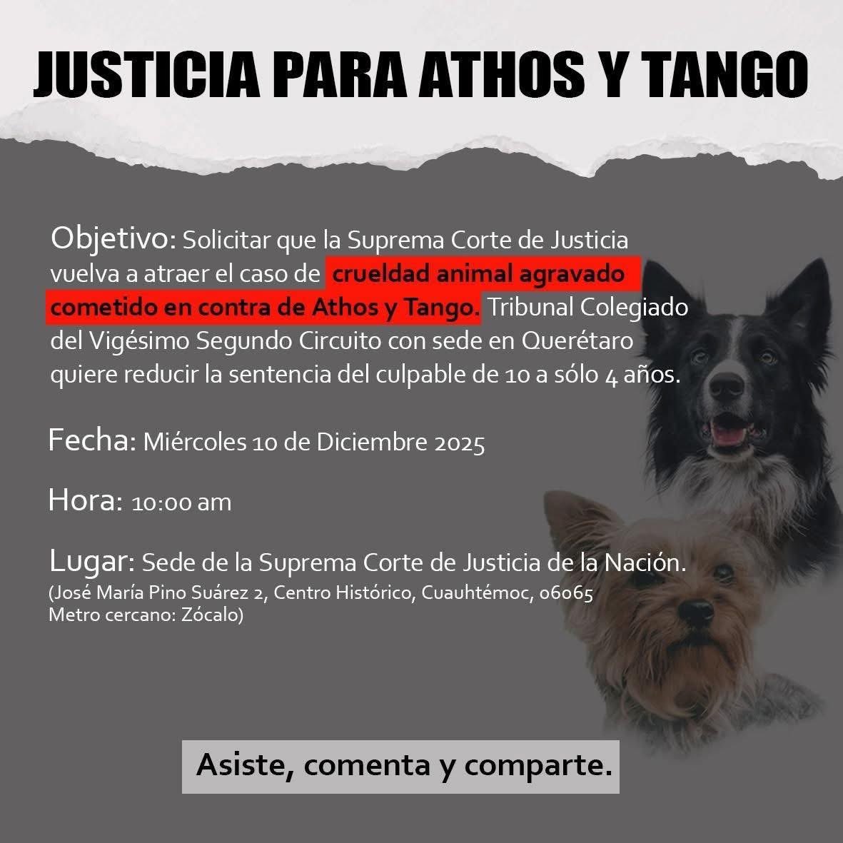 Mundo Patitas AC tweet media