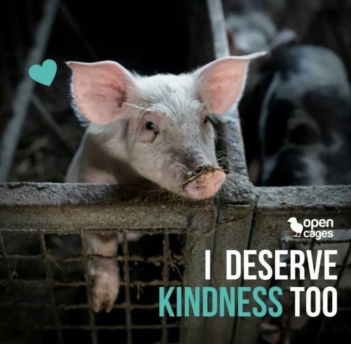 NothingIsArt (@nothingisart) on Twitter photo 