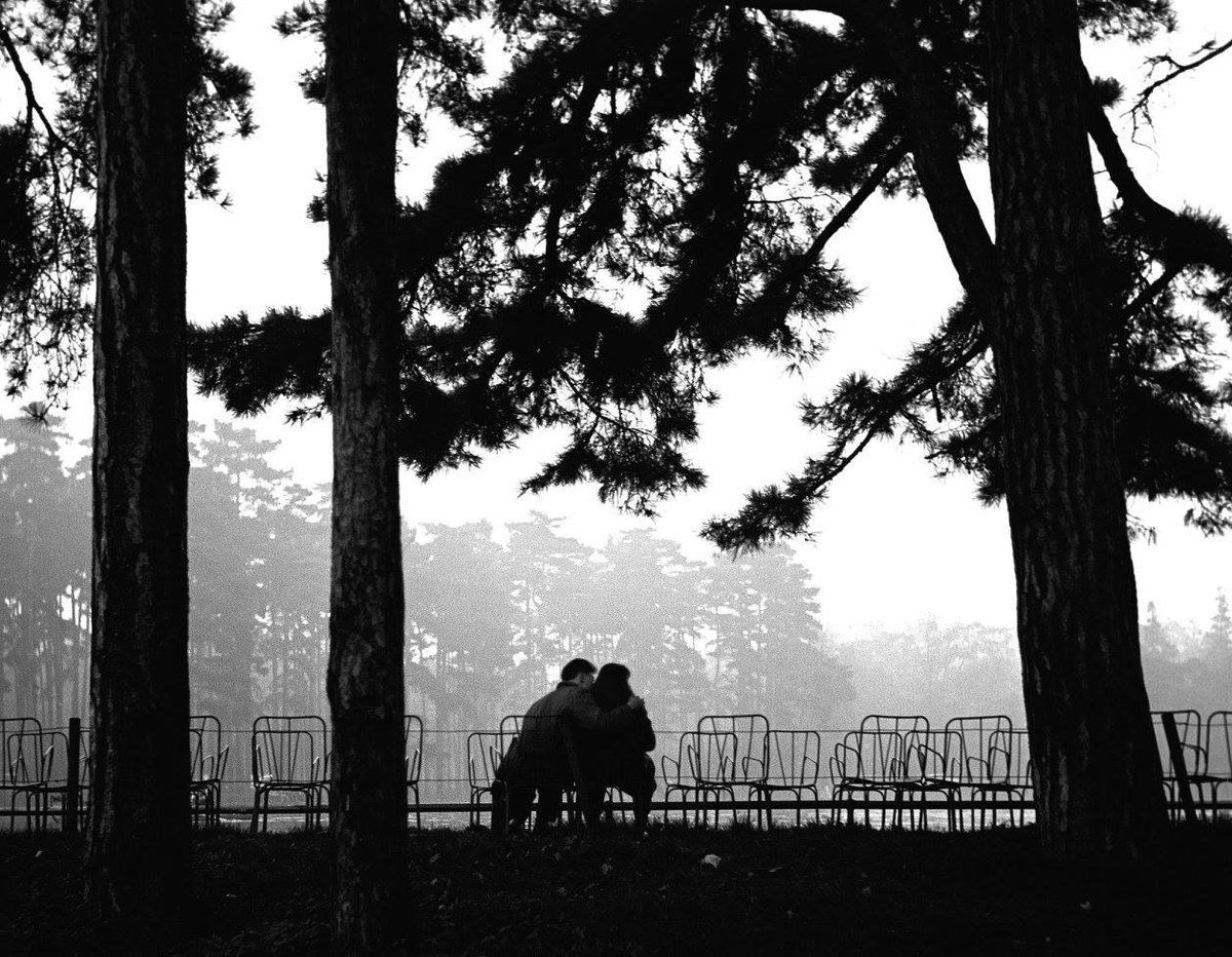 "What will survive of us is love."

Philip Larkin / The Whitsun Weddings

📷"Bois de Boulogne, Paris, 1952"
Sabine Weiss