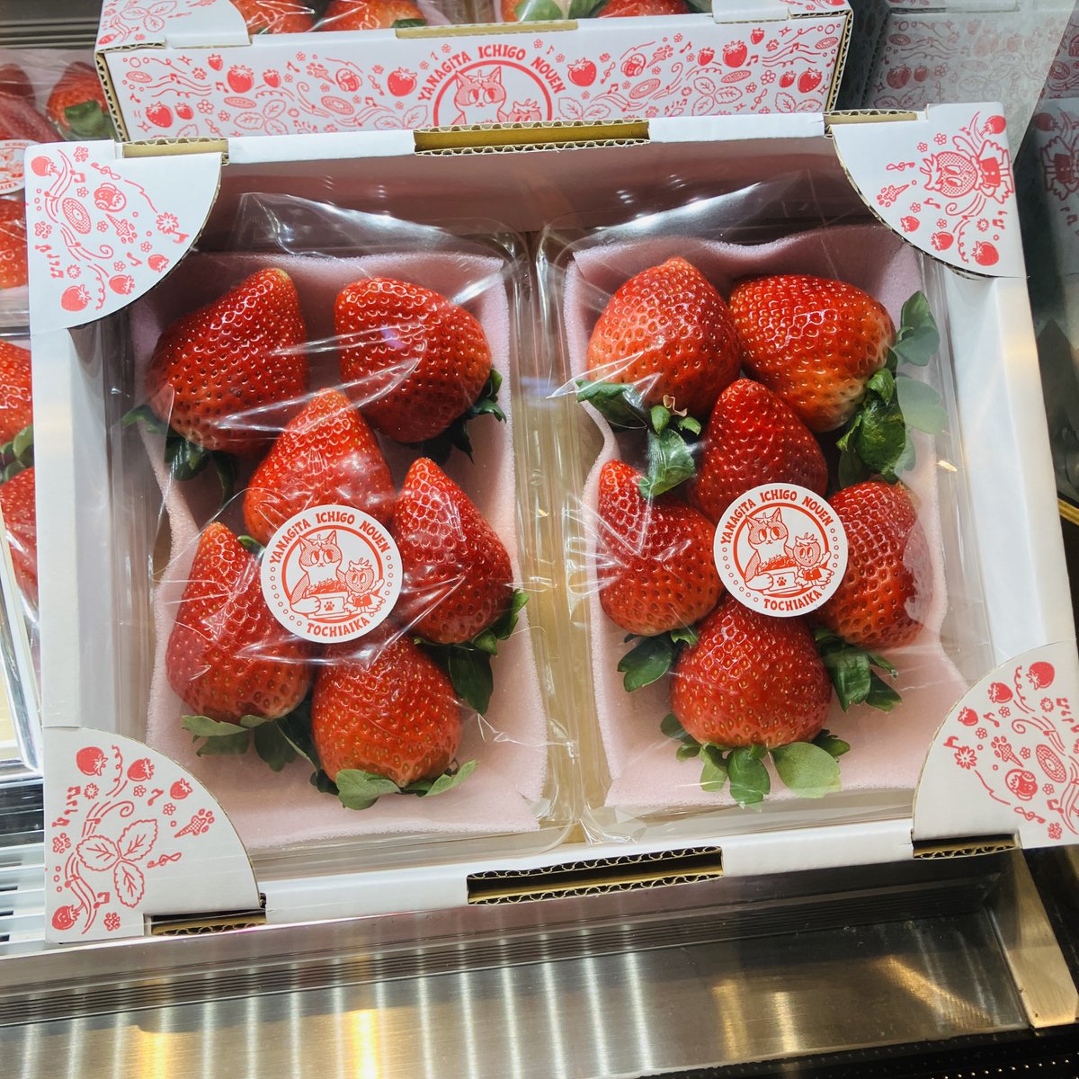 いちご（感謝） うおー！！早速ありがとうございますー‼︎😭🍓✨