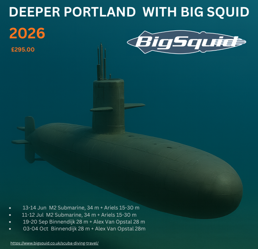 Big Squid (@bigsquiddiving) on Twitter photo 