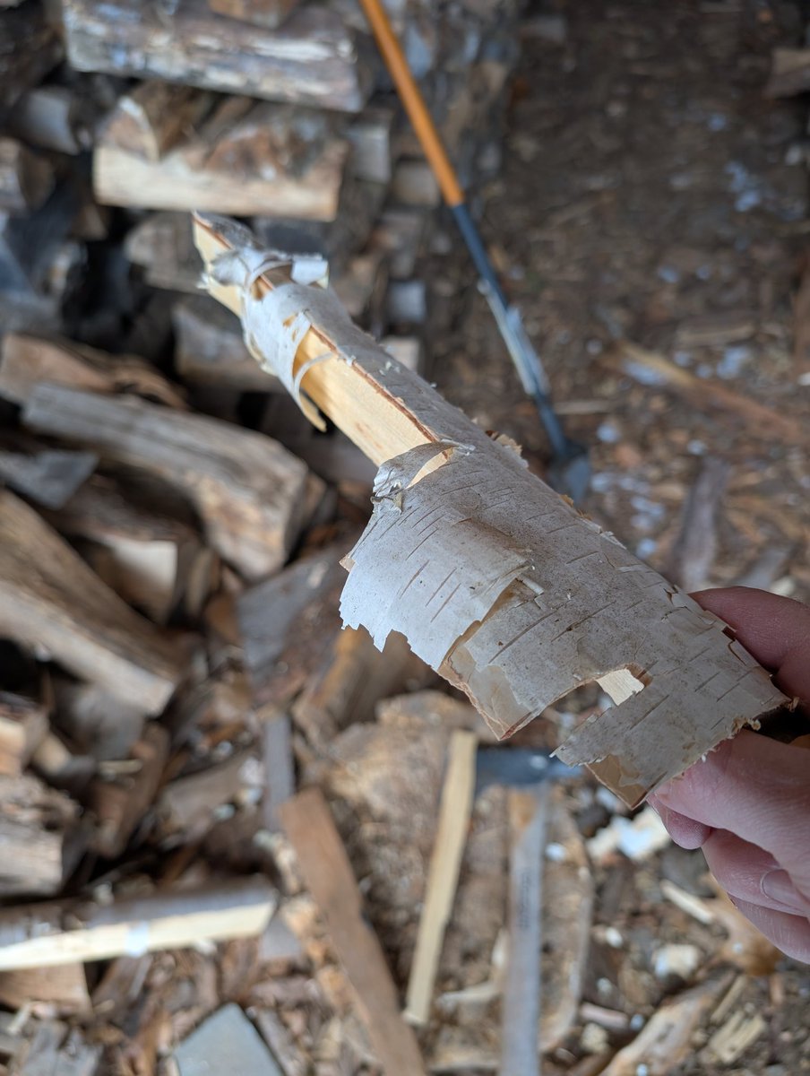 normonics's tweet image. Kindling like this practically start the fire all by themselves 

Out gold etc