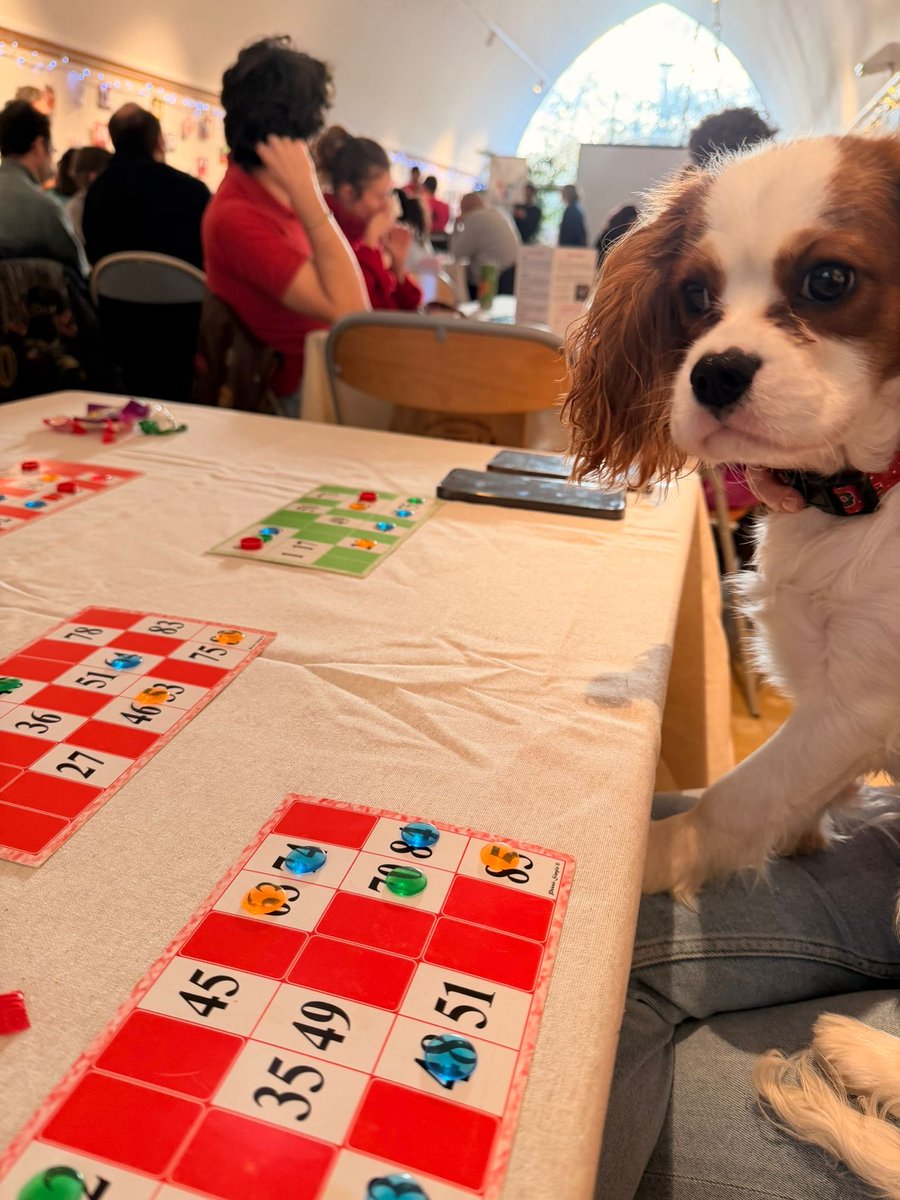Loto de Noël solidaire à la Maison de l’Animal au profit des animaux de personnes en situation de précarité <a href="/GamellesPleines/">Association Gamelles Pleines France</a> #VeterinairesPourTous
Typiquement le genre de moment qui montre, une fois encore, à quel point le chien est un formidable créateur de lien dans la ville.